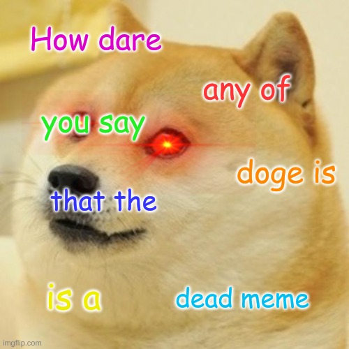HOW DARE ANY OF YOU SAY THAT THE DOGE IS A DEAD MEME Imgflip