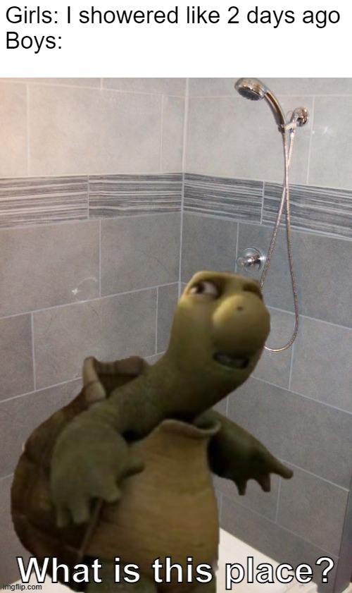 Shower thought of the day Imgflip