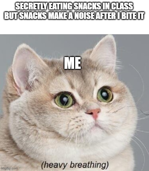 Heavy Breathing Cat Meme Imgflip