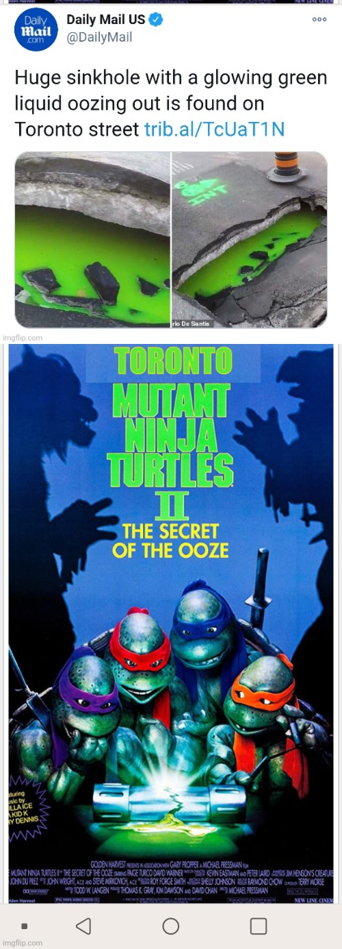 Image tagged in toronto ninja turtles Imgflip