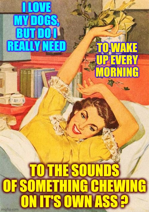Wake Up Call Imgflip
