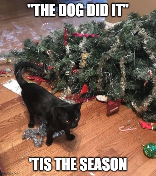 Well, it WAS beginning to look a lot like Christmas... Imgflip