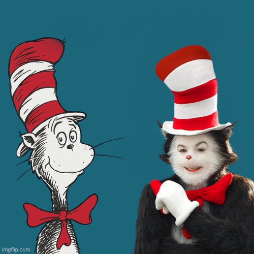 Cat and the hat meme Blank Template Imgflip