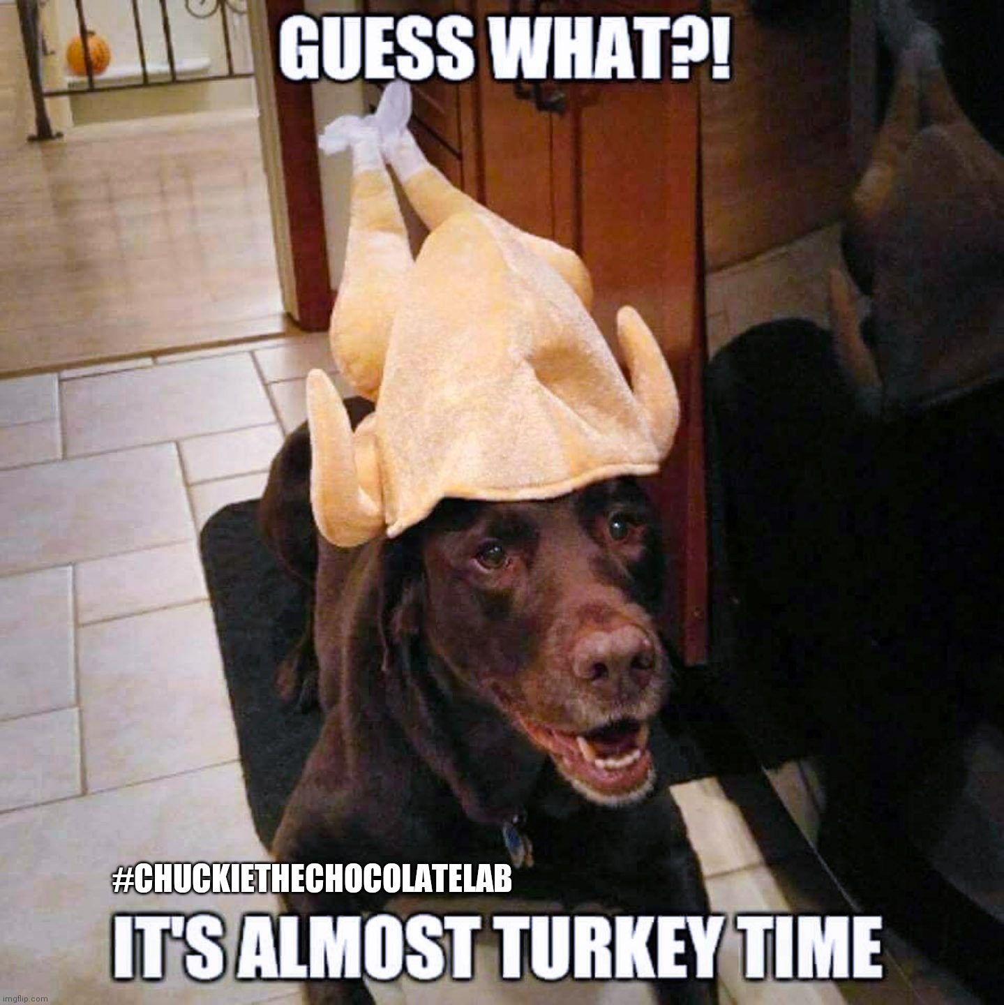 Almost Turkey Time! Imgflip