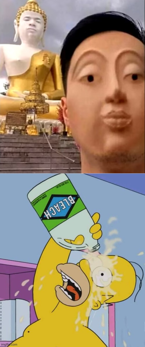 Homer with bleach Imgflip