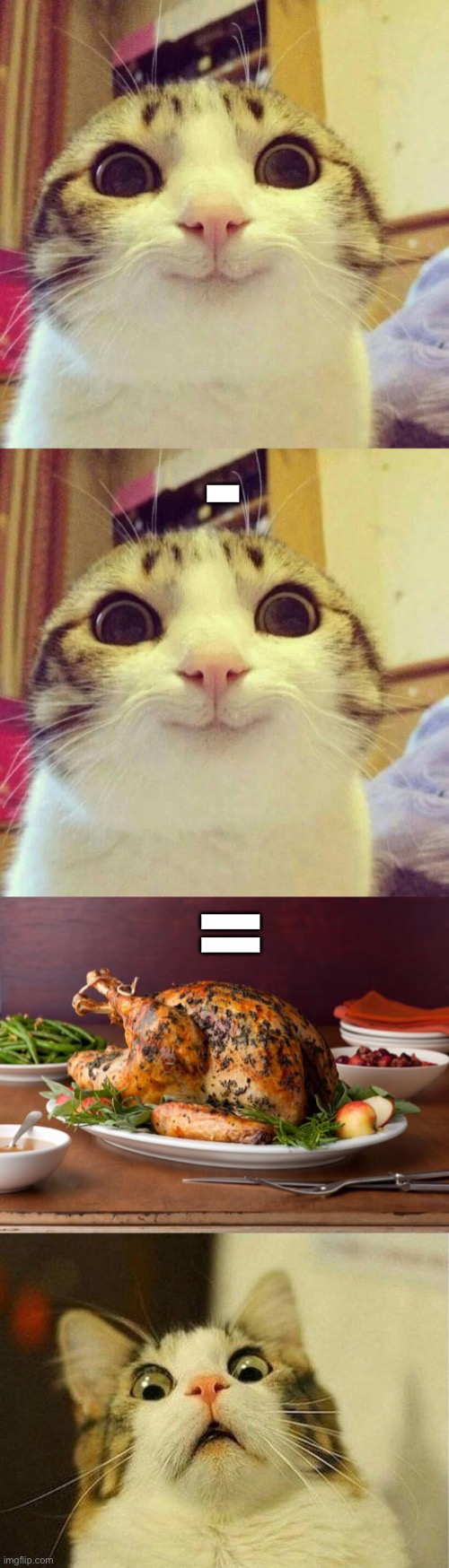 Image tagged in memes,smiling cat,thanksgiving turkey,scared cat Imgflip