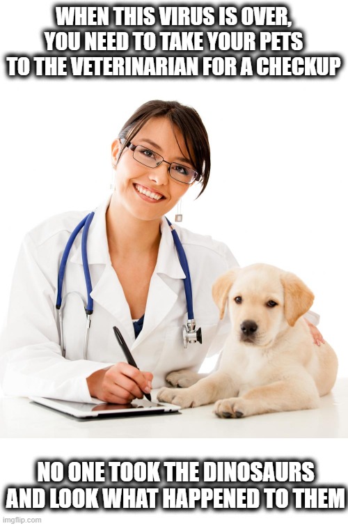 Veterinarian Imgflip