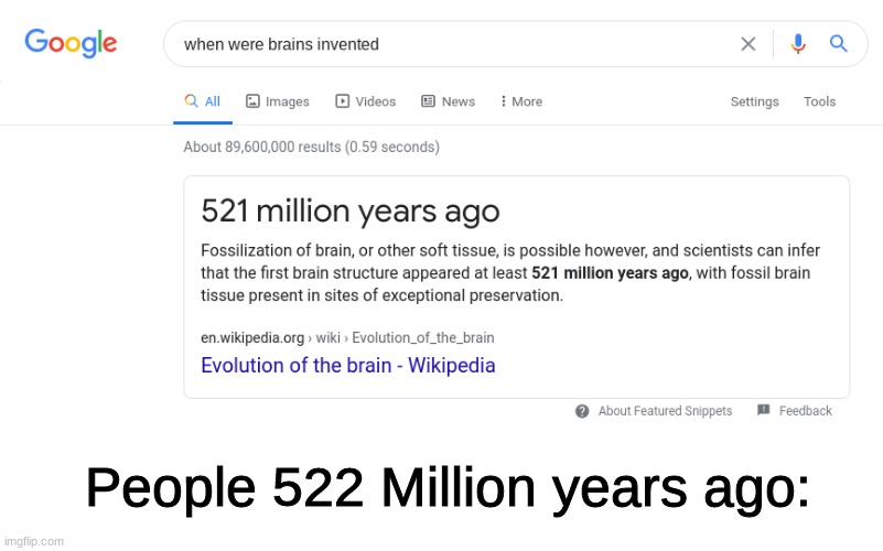 When were brains invented Imgflip