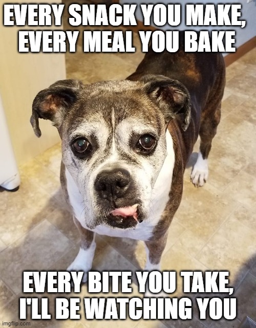 Oscar Every Bite You Take, I'll Be Watching You Imgflip