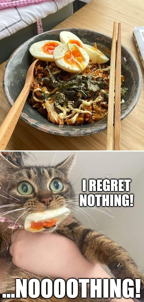Regret nothing Imgflip