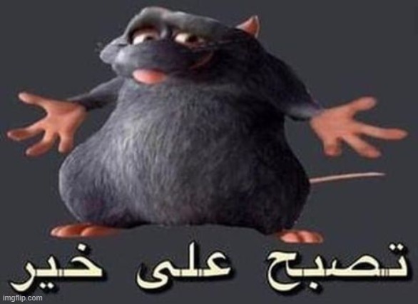 ratatouille Memes & GIFs Imgflip
