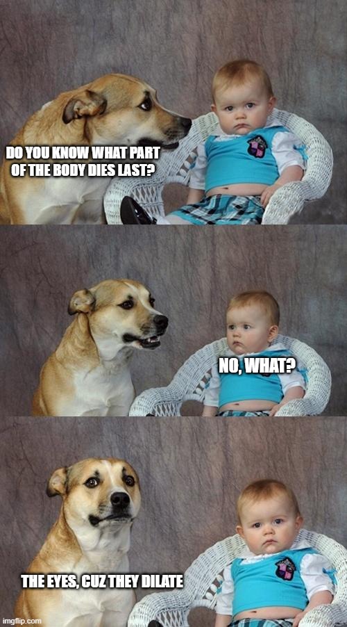 Dad Joke Dog Meme Imgflip