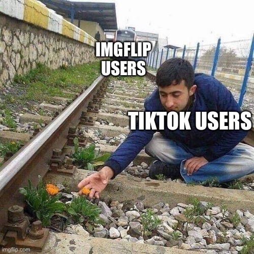 Imgflip Train Users hits TikTok Users (no hate on tik tok but I respect
