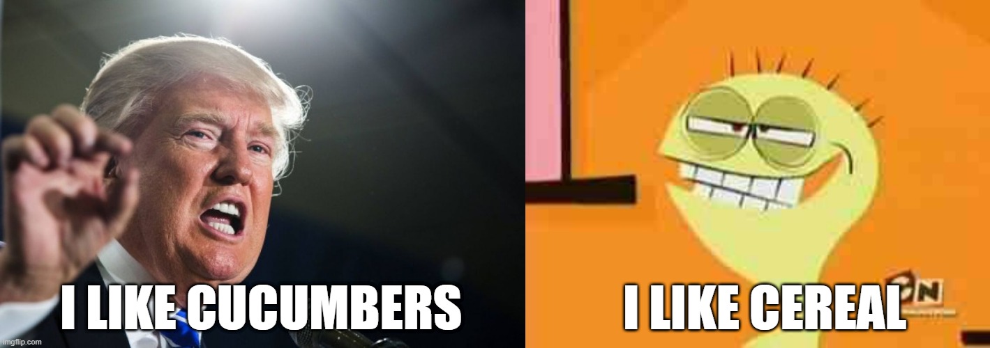 Cheese for President Imgflip