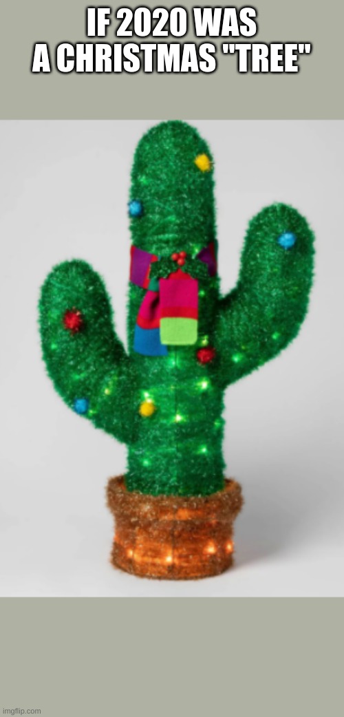 Christmas Cactus Meme Cactus Imgflip