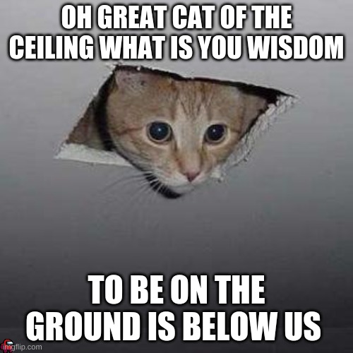 Ceiling Cat Memes Imgflip
