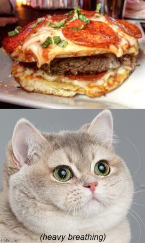 Image tagged in memes,heavy breathing cat Imgflip