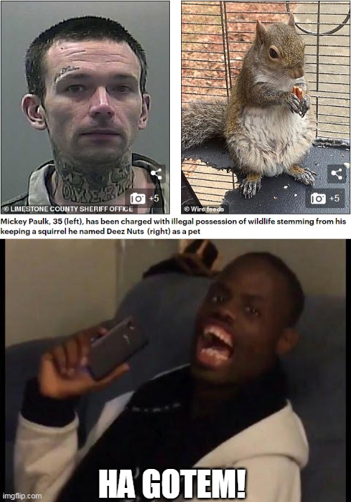 a squirrel named "Deez Nuts"? Imgflip