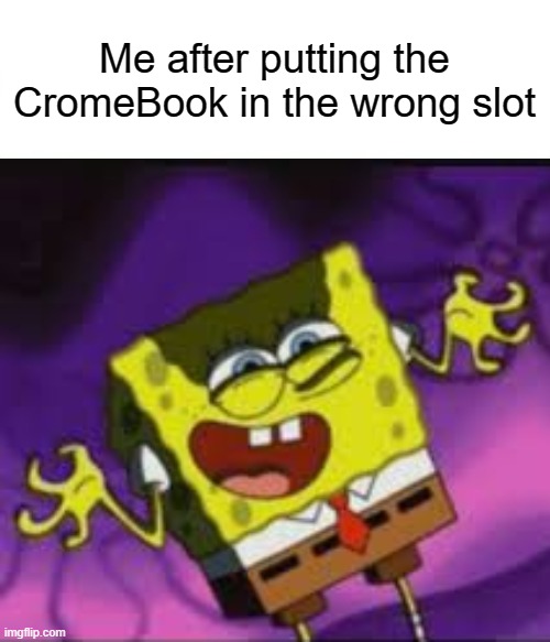 Funny Memes Funny Wallpapers For Chromebook