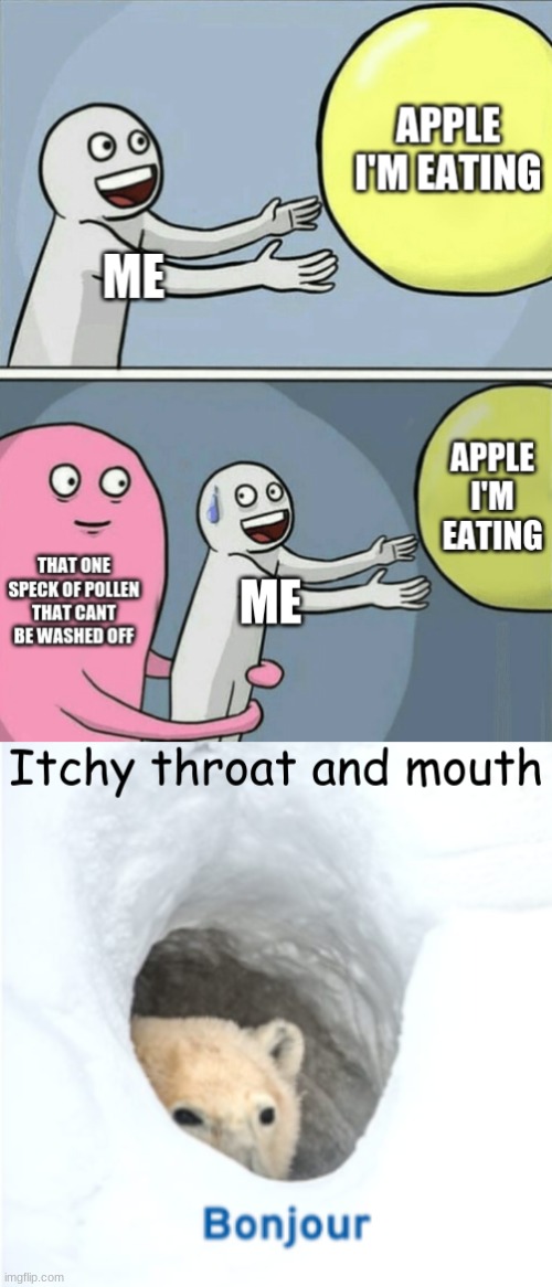 pollen Memes & GIFs Imgflip