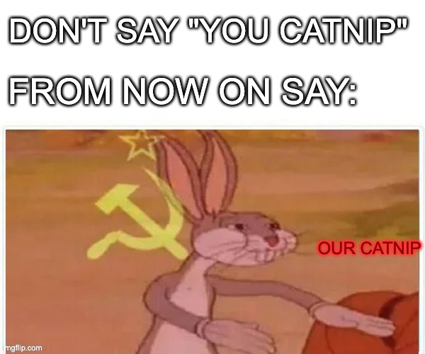 Communist cat Imgflip
