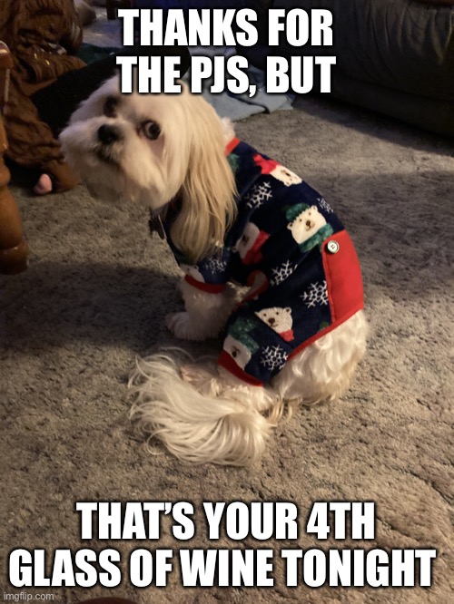 Dog in pajamas Memes Imgflip