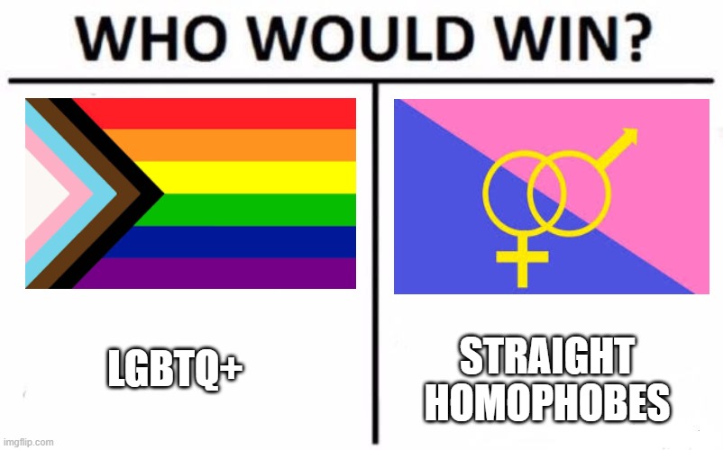 LGBTQ+ for sure! (lgbtq+ includes allys!) Imgflip
