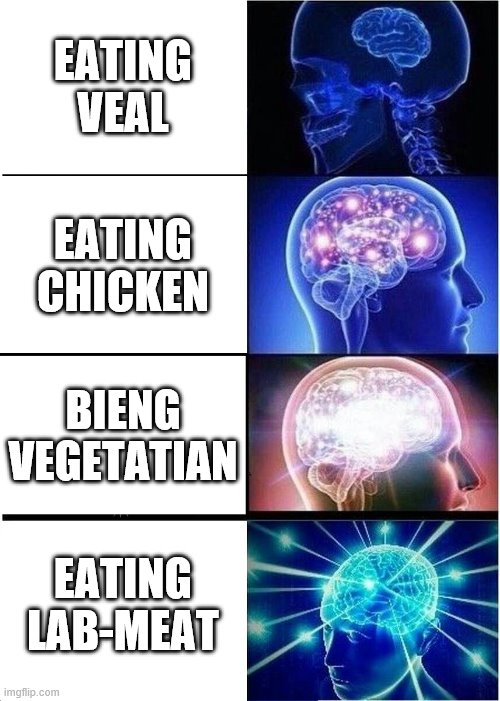 Expanding Brain Meme Imgflip