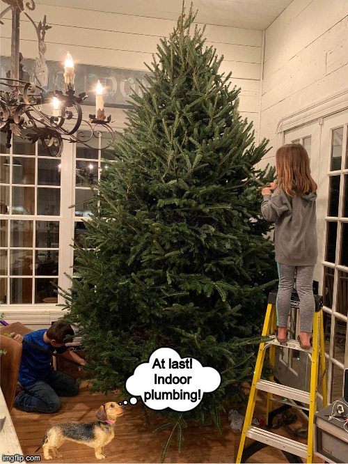 If It's Good Enough For The Humans... Imgflip