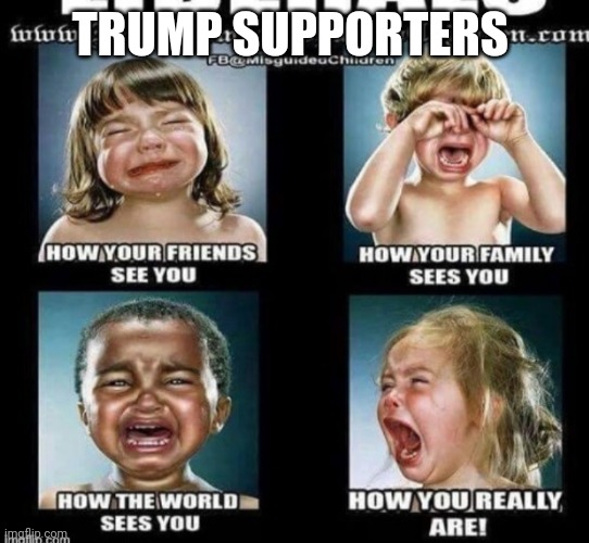 Trump supporters Imgflip