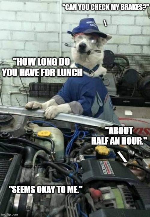 Dog Car Mechanic Imgflip
