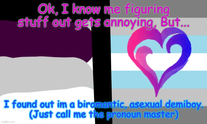 Pronoun Master Imgflip
