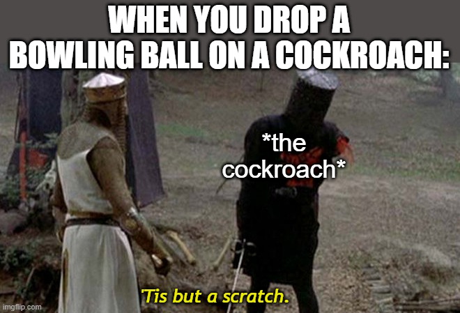 tis but a scratch Memes & GIFs Imgflip