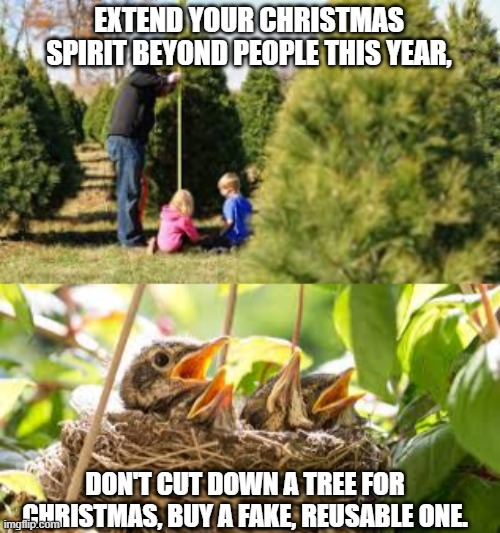 Image tagged in christmas trees,birds in a nest Imgflip