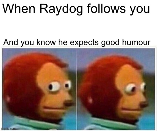Monkey Puppet Meme Imgflip