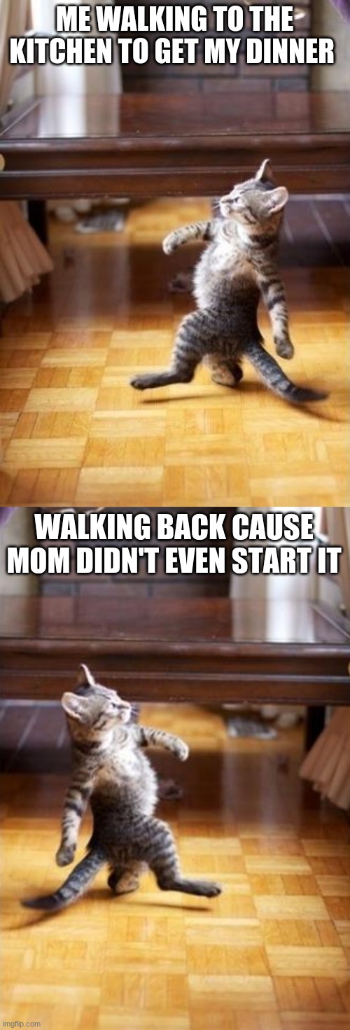 Cat Strutting Meme