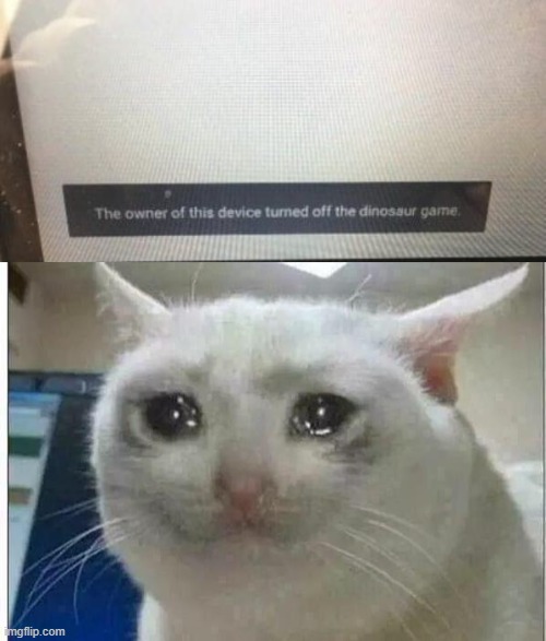nooooooooooooooooo Imgflip
