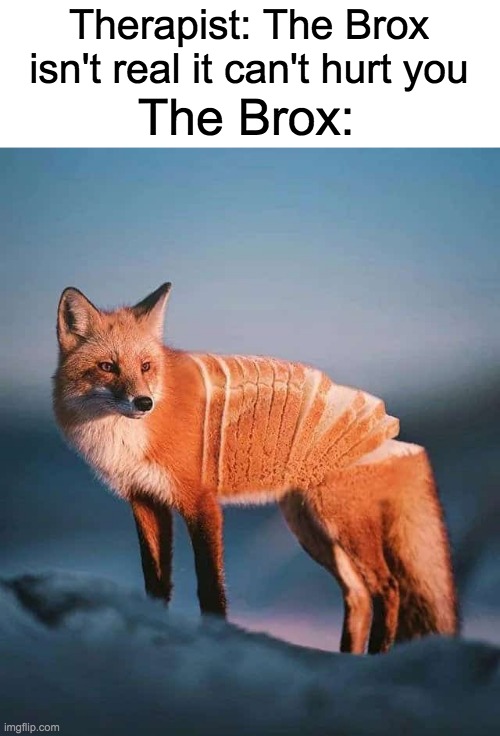 THE BROX Imgflip