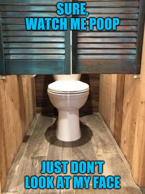 "Public" toilet Imgflip