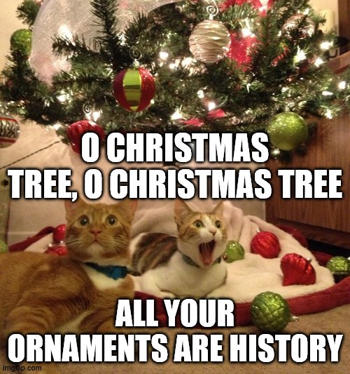 christmas cats Memes & GIFs Imgflip