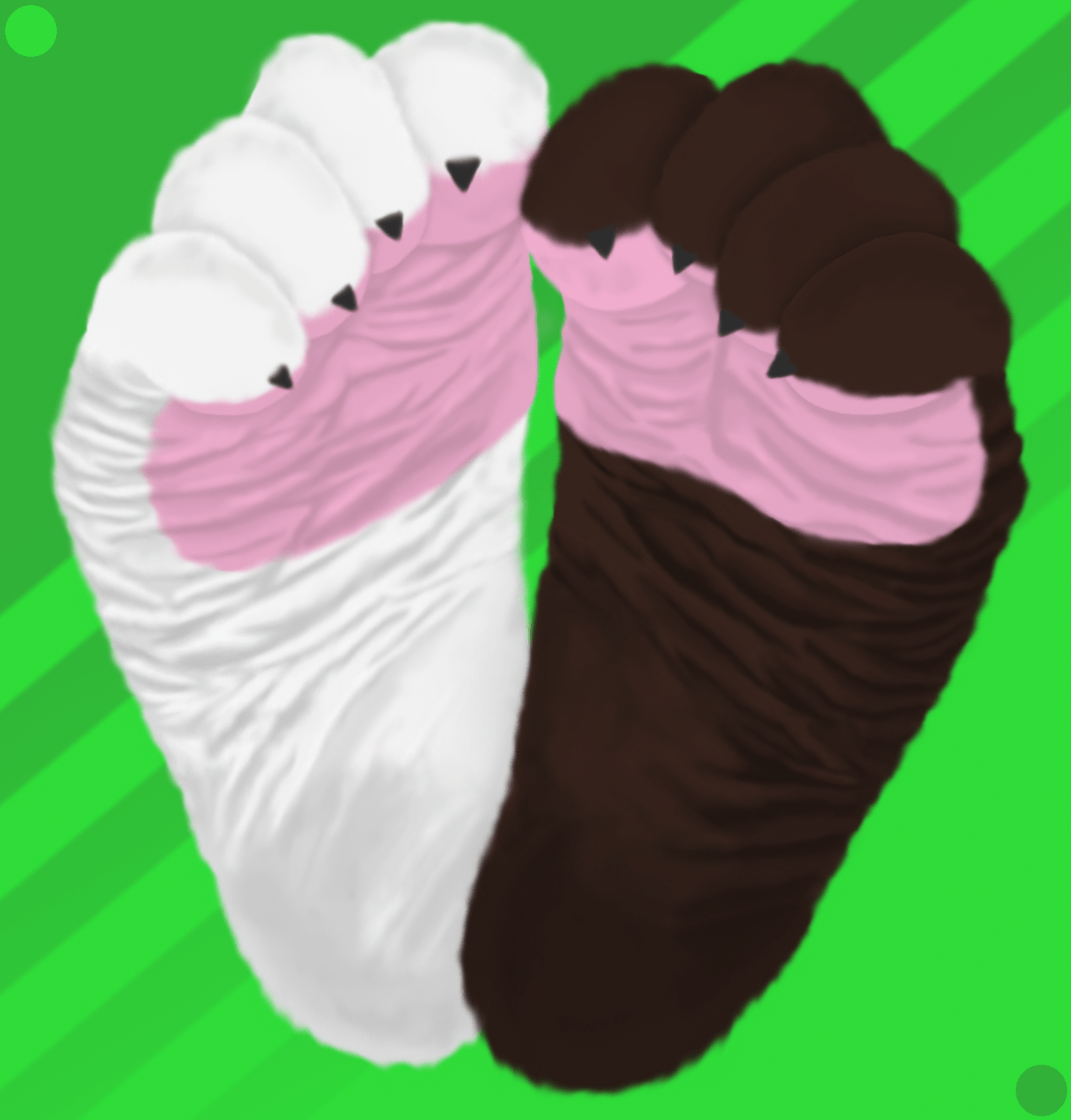 Furry Feet Blank Template Imgflip