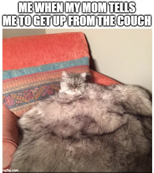 Couch Meme Template