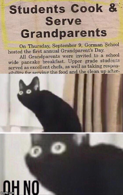 Image tagged in oh no cat Imgflip