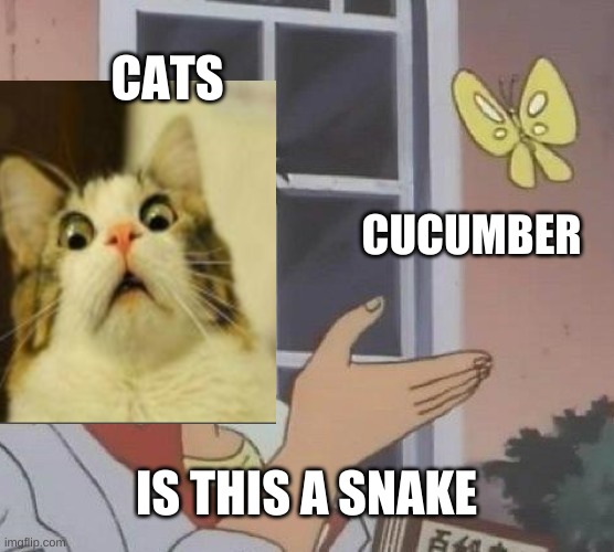 Is This A Pigeon Meme Imgflip