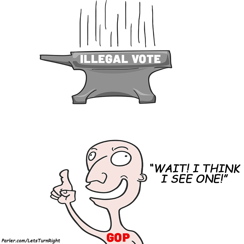 If Illegal Votes Were Anvils Blank Template Imgflip