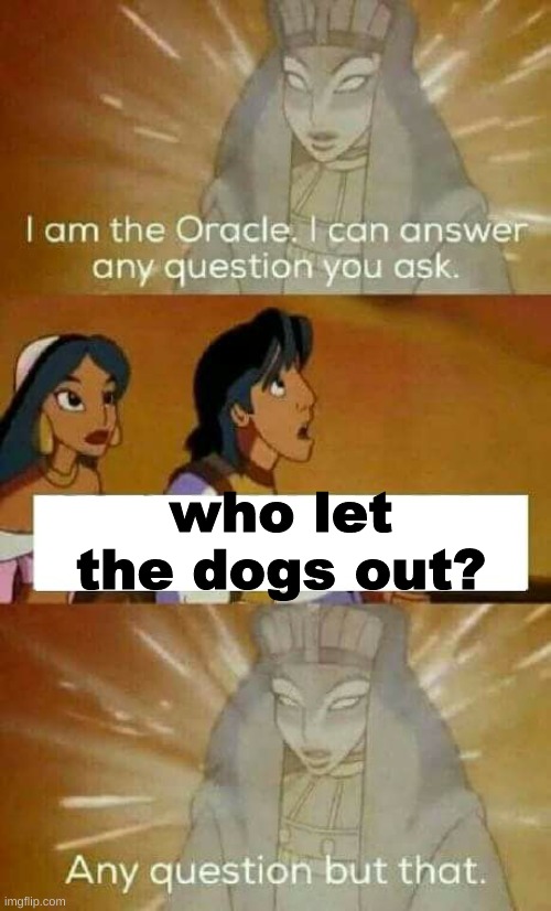 Who let the dogs out? Imgflip