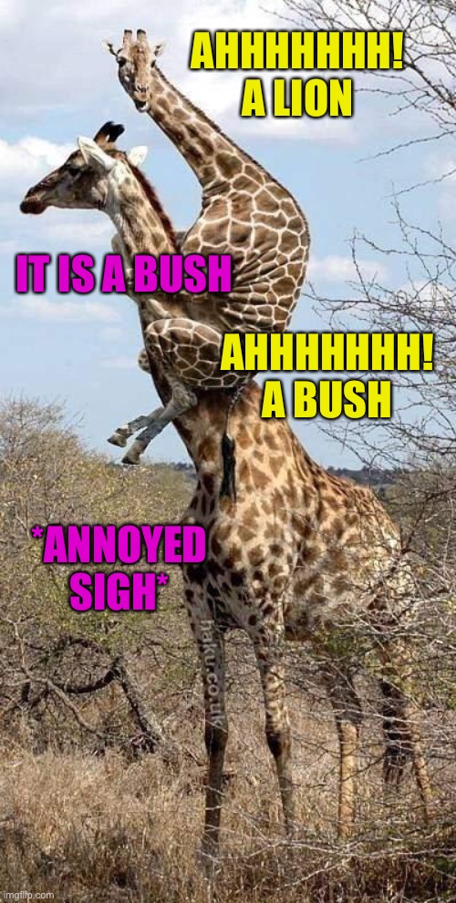Giraffe Meme