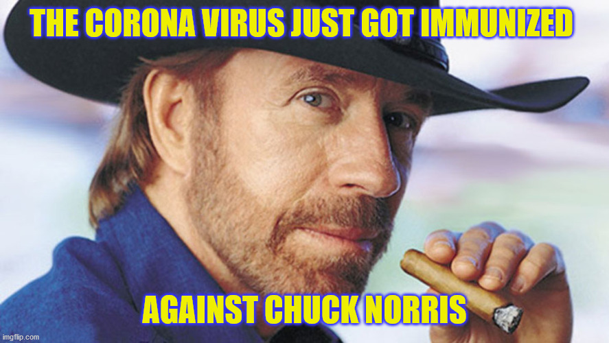 Chuck Norris Virus Meme Imgflip
