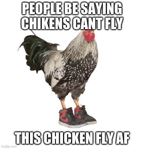 chicken wearing shoes Imgflip