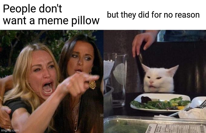 Woman yelling at cat pillows on the sofa Imgflip